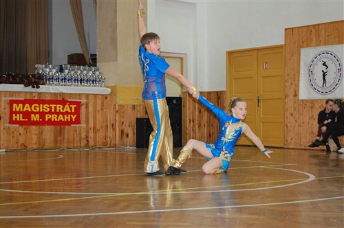 Obrázek v galerii