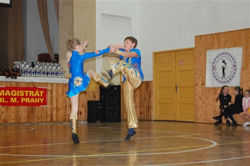 Obrázek v galerii