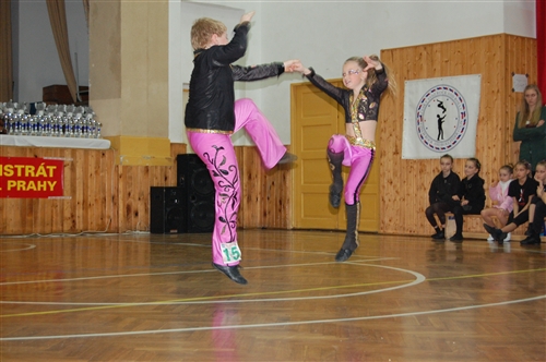 Obrázek v galerii