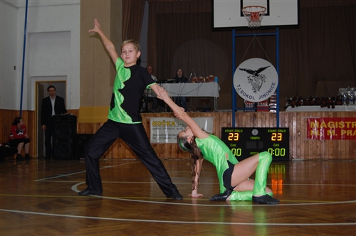 Obrázek v galerii
