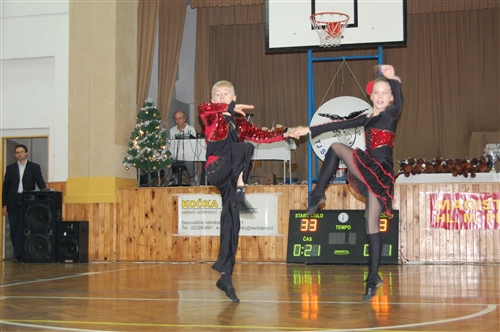 Obrázek v galerii