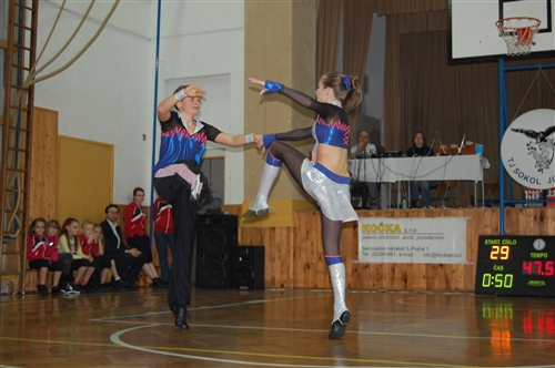 Obrázek v galerii