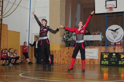 Obrázek v galerii