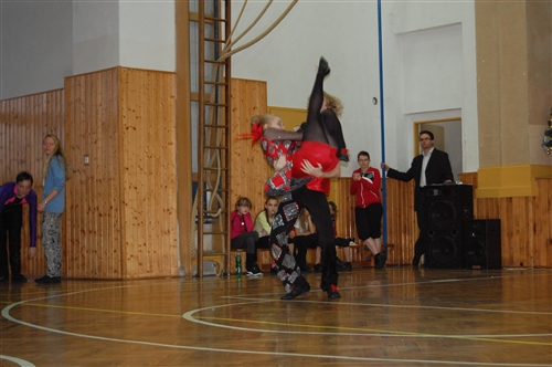 Obrázek v galerii