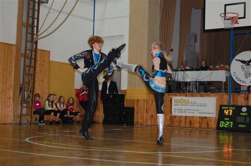 Obrázek v galerii