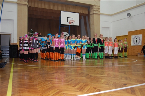 Obrázek v galerii