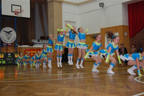 Obrázek v galerii