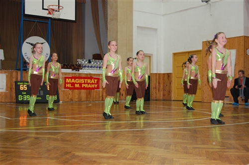Obrázek v galerii
