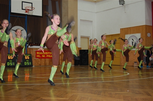 Obrázek v galerii
