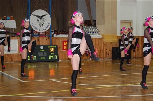 Obrázek v galerii