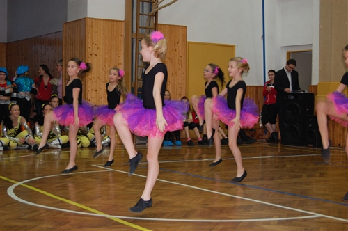 Obrázek v galerii