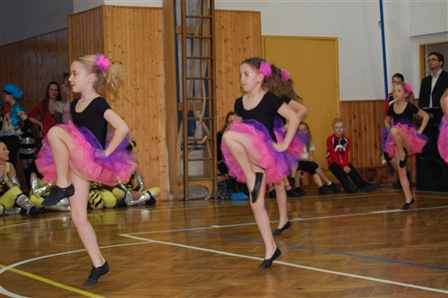 Obrázek v galerii
