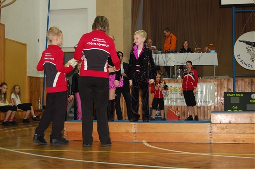 Obrázek v galerii