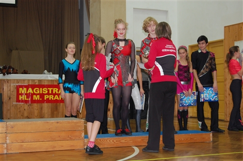 Obrázek v galerii