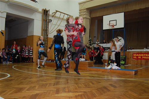 Obrázek v galerii