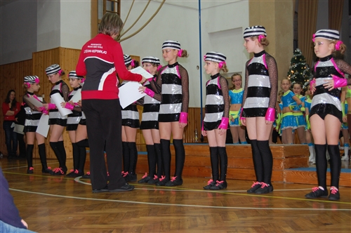 Obrázek v galerii