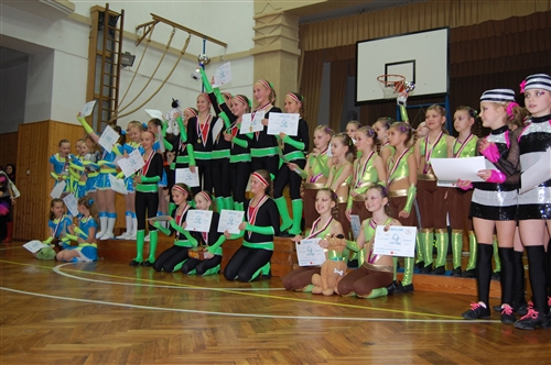 Obrázek v galerii