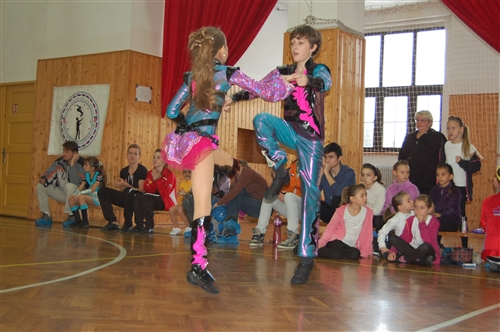 Obrázek v galerii