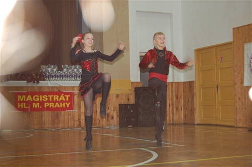Obrázek v galerii