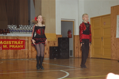 Obrázek v galerii