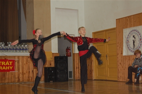 Obrázek v galerii
