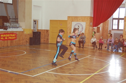 Obrázek v galerii