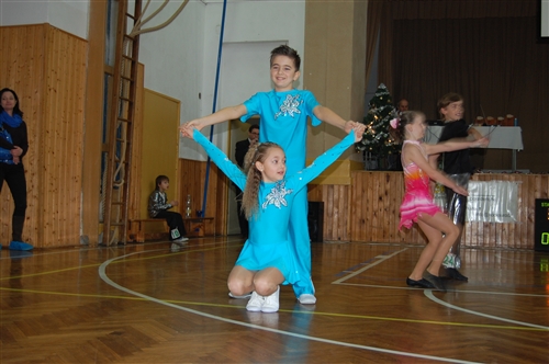 Obrázek v galerii