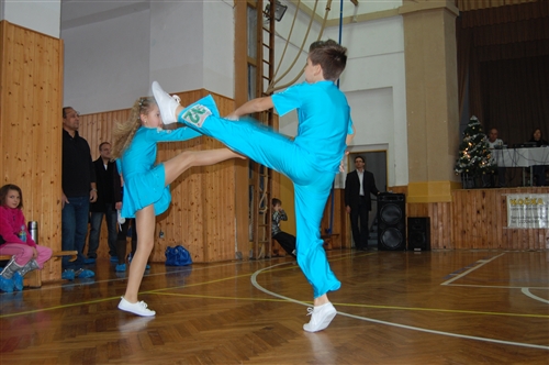 Obrázek v galerii