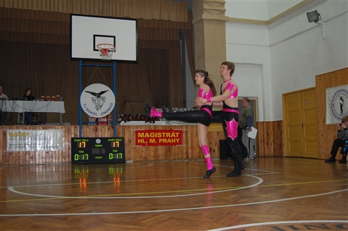 Obrázek v galerii