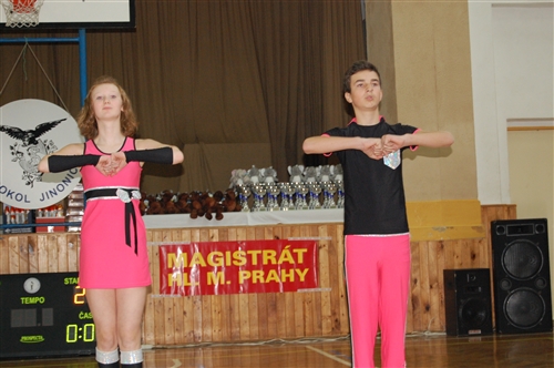 Obrázek v galerii