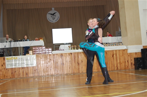 Obrázek v galerii