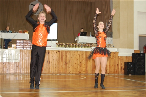 Obrázek v galerii
