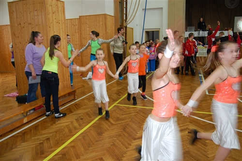 Obrázek v galerii