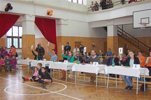 Obrázek v galerii