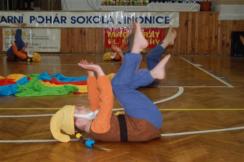 Obrázek v galerii