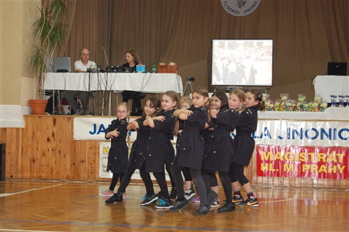 Obrázek v galerii