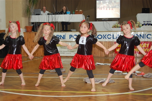 Obrázek v galerii