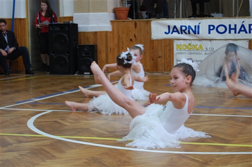 Obrázek v galerii
