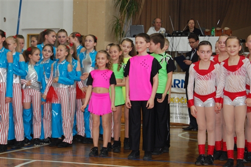 Obrázek v galerii