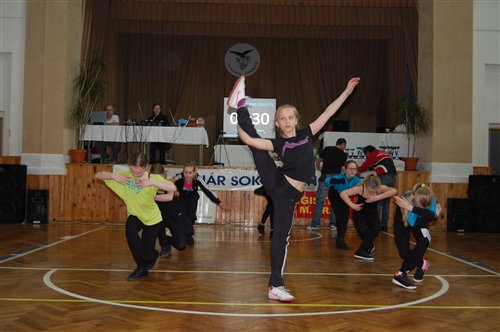 Obrázek v galerii