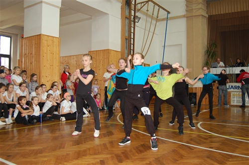 Obrázek v galerii