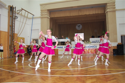 Obrázek v galerii