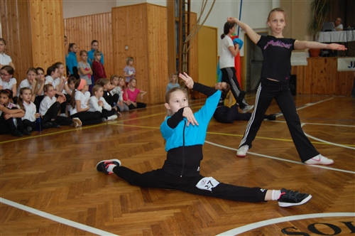 Obrázek v galerii