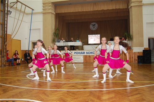 Obrázek v galerii
