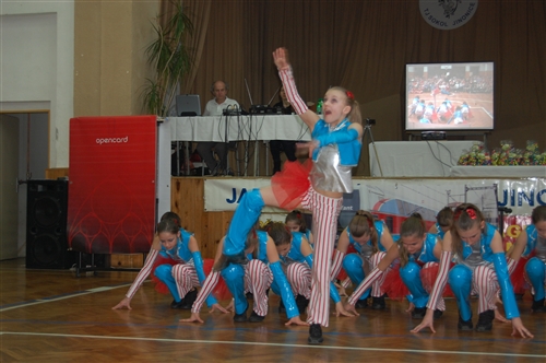 Obrázek v galerii