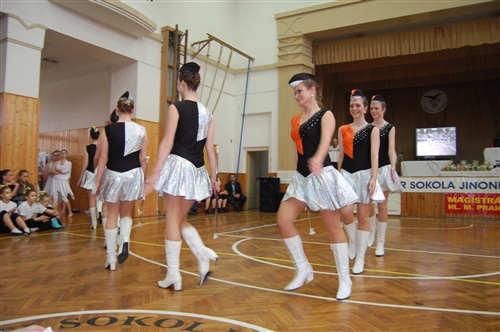 Obrázek v galerii