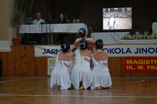 Obrázek v galerii