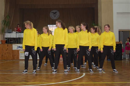Obrázek v galerii