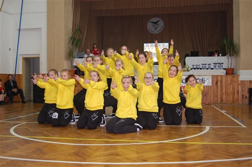 Obrázek v galerii