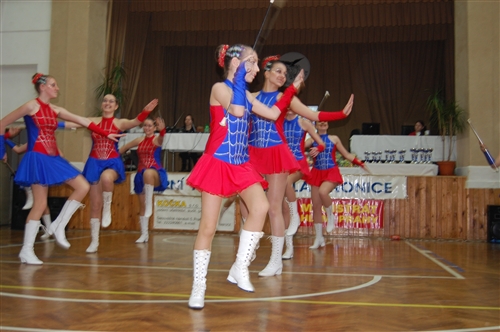 Obrázek v galerii